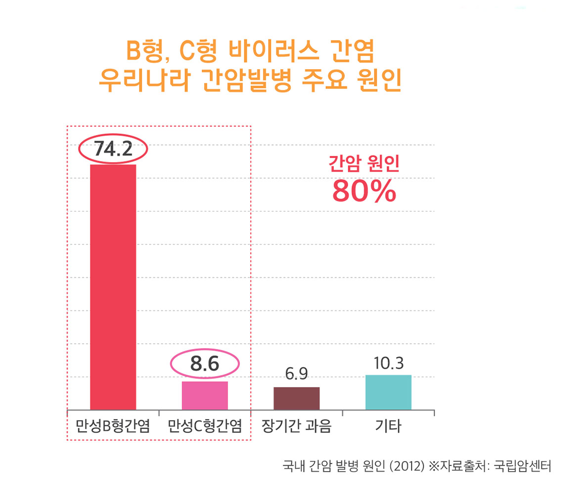 B형,C형 바이러스 간염이 우리나라 간암발병주요원인(간암원인의 80%). 만성B형간엽: 74.2%, 만성C형간염: 8.6%, 장기간 과음: 6.9%, 기타 10.3% . 국내간암 발병원인(2012, 자료출처: 국립암센터)