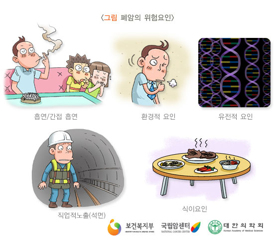 [그림:폐암의 위험요인]