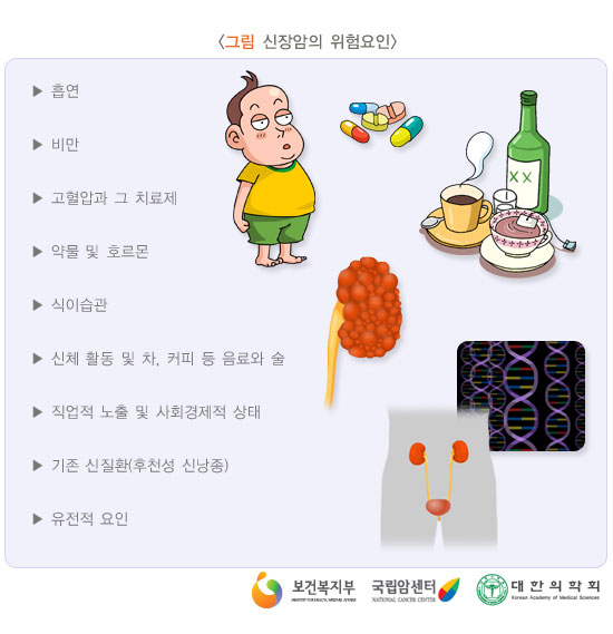 [그림: 신장암의 위험요인]
