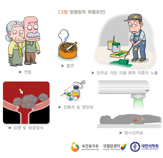 [그림: 방광암의 위험요인] 연령,흡연,업무로 의한 각종 화학약품의 노출,감염 및 방광결석,진통제 및 항암제,방사선치료 (출처: 보건복지부, 국립암센터, 대한의학회)