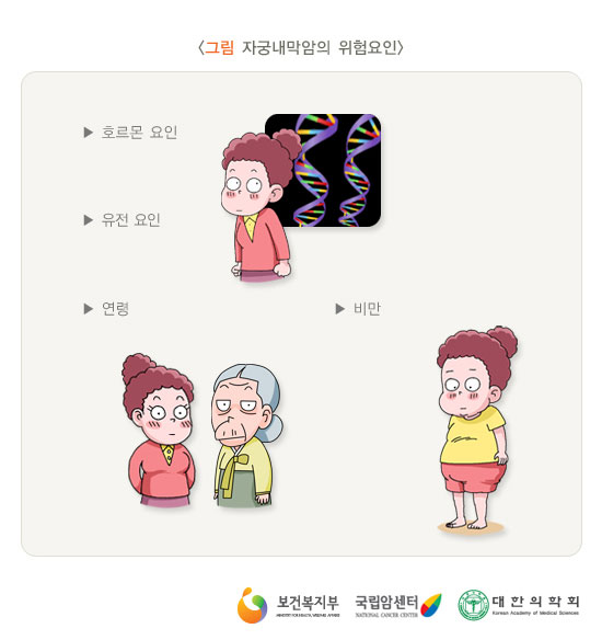 [그림: 자궁내막암의 위험요인] 호르몬 요인,유전요인,연령,비만(출처: 보건복지부, 국립암센터, 대한의학회)