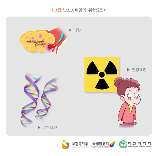 [그림: 난소상피암의 위험요인]배란, 유전요인, 환경요인(출처: 보건복지부, 국립암센터, 대한의학회)