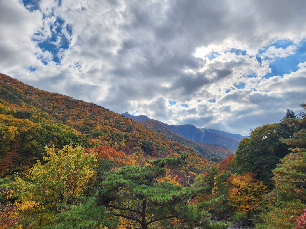 전경