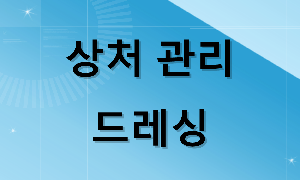 드레싱 