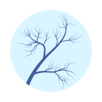 Cardiocerebrovascular Center icon