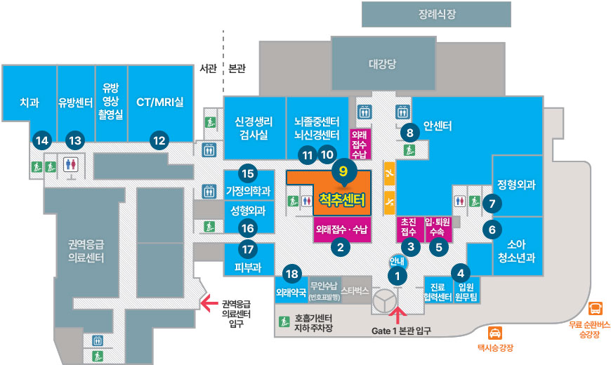 척추센터 배치도